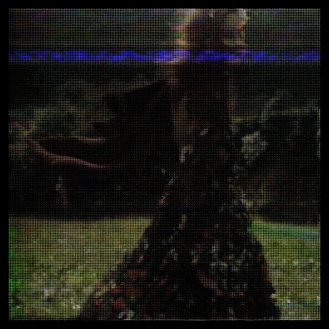 Video Reference: black, green, nature, light, darkness, atmosphere, pattern, net, biome, grass