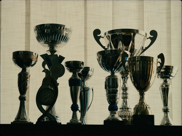 Video Reference: trophy, light fixture, lighting, lamp, Person