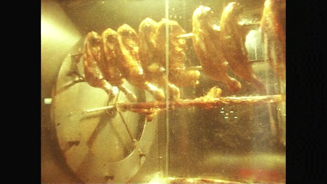 Video Reference: Amber, Organism