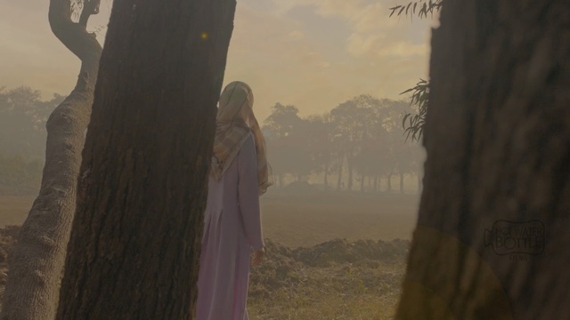 Video Reference: screenshot, sky, tree, terrain, landscape, ecoregion, rock