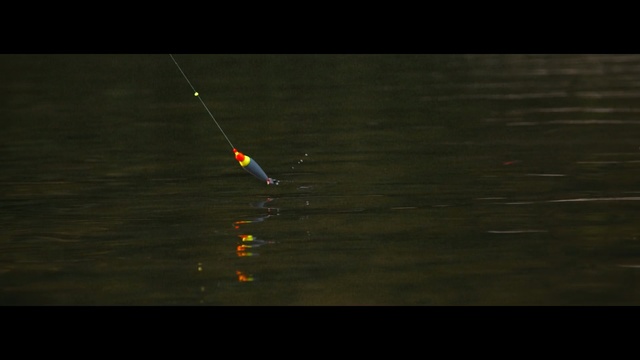 Video Reference: water, atmosphere, reflection, sky, night, fishing float, line, darkness, screenshot, recreation