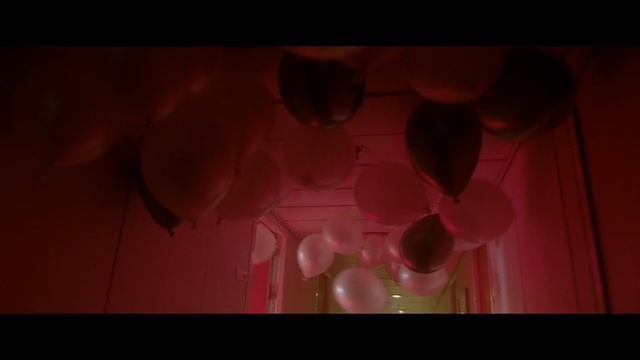 Video Reference: Red, Pink, Light, Magenta, Photography, Organism, Macro photography, Petal, Circle, Art, Table, Sitting, Small, Glass, Animal, Holding, Dark, Lit, Vase, Food, Black, Screenshot, Jellyfish