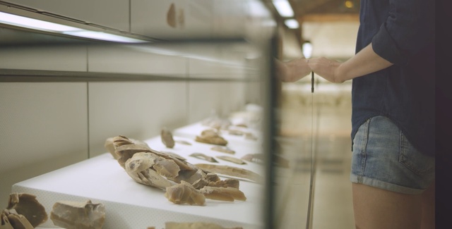 Video Reference: Jaw, Interior design, Glass, Tile, Fossil