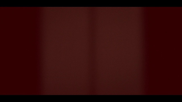 Video Reference: Red, Black, Maroon, Brown, Orange, Magenta, Pattern, Font, Darkness, Textile
