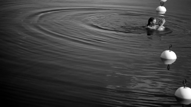 Video Reference: Black, Water, White, Black-and-white, Reflection, Monochrome photography, Monochrome, Water bird, Atmosphere, Still life photography