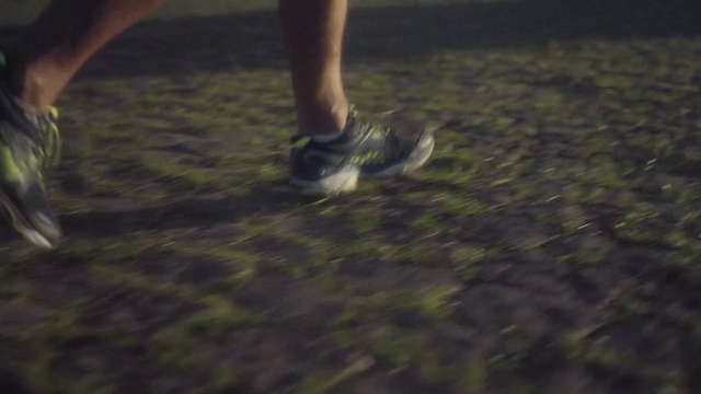Video Reference: Green, Grass, Footwear, Leg, Shoe, Atmosphere, Night, Tree, Human leg, Plant, Person