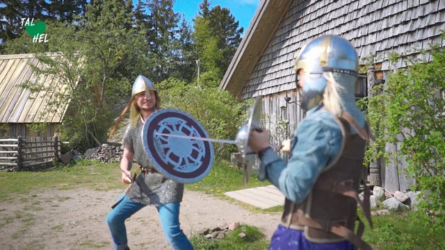 Video Reference: Tree, Battle gaming, Viking, Knight, Middle ages, Outdoor, Person, Grass, Building, Holding, Man, Young, Child, Boy, Playing, Ball, Frisbee, Little, People, Game, Standing, Girl, Woman, Park, Group, Walking, Swinging, Hat, Street, Baseball, Field, Flying, Air, Catch, Court, Clothing, Jeans, Playground