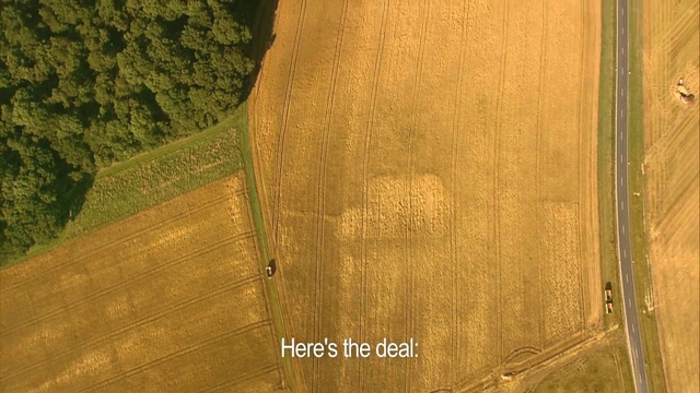 Video Reference: Yellow, Wood, Aerial photography, Wood stain, Plant, Hardwood