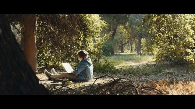 Video Reference: People in nature, Nature, Natural environment, Woodland, Tree, Forest, Sitting, Natural landscape, Light, Sunlight