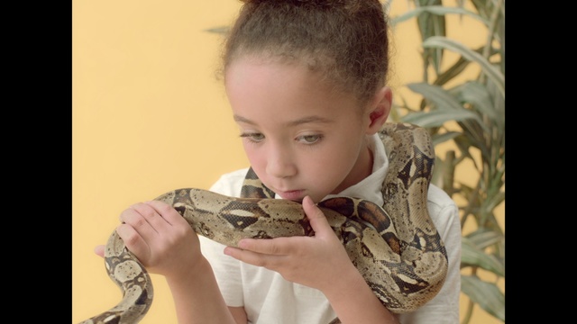 Video Reference: Boa constrictor, Boa, Snake, Reptile, Python, Scaled reptile, Python family, Mouth, Burmese python, Arm, Person, Animal, Indoor, Boy, Eating, Food, Young, Piece, Little, Table, Sitting, Window, Child, Slice, Chocolate, Holding, Small, Plate, Wearing, Donut, Doughnut, Shirt, Cake, Pizza, White, Man, Standing, Toddler, Baby