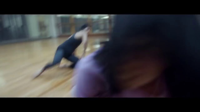 Video Reference: Hardwood, Floor, Leg, Muscle, Sporting Group, Flooring, Non-Sporting Group, Guard dog, Choreography, Fictional character