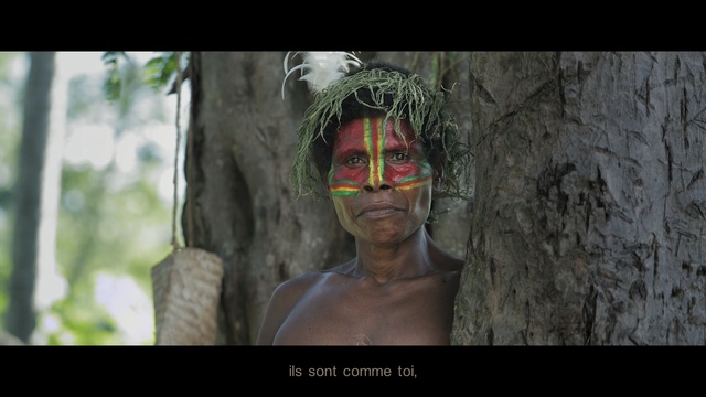 Video Reference: tree, temple, screenshot, archaeological site, Person