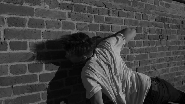 Video Reference: fountain, structure, zebra, statue