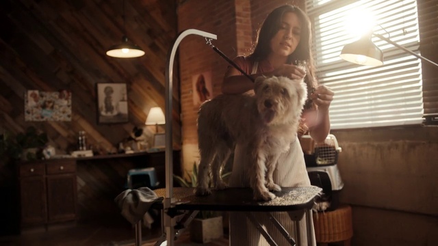 Video Reference: Fur, Art, Room, Textile, Sculpture