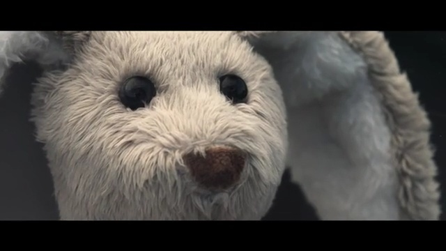 Video Reference: snout, fur, whiskers
