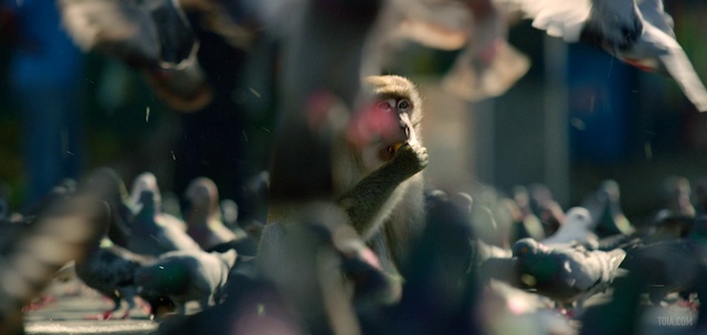 Video Reference: People, Crowd, Audience, Footwear, Event, Performance, Photography, Music, Competition event, Games