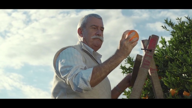 Video Reference: Tree, Adaptation, Photography, Plant