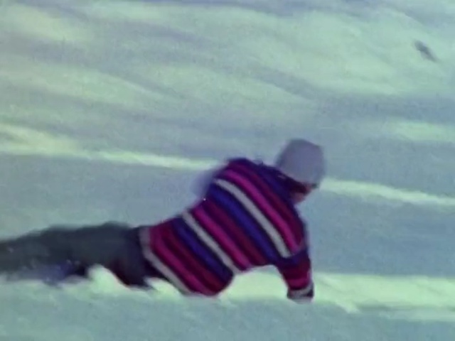 Video Reference: blue, mammal, snow, geological phenomenon, fun, freezing, extreme sport, ice, sky, snowboarding