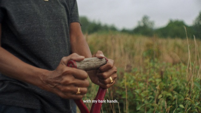 Video Reference: Hand, Grass family, Grass, Adaptation