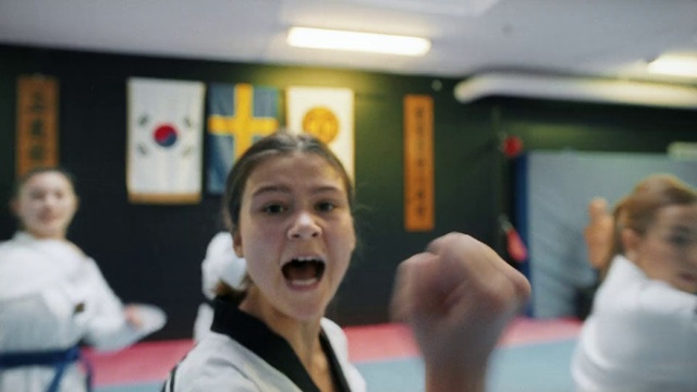 Video Reference: Taekwondo, Karate, Martial arts, Individual sports, Contact sport, Hapkido, Combat sport, Room, Black belt, Striking combat sports