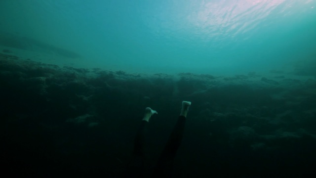Video Reference: underwater, sea, water, underwater diving, marine biology, ocean, scuba diving, freediving, reef, aquanaut