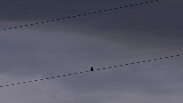 Video Reference: Sky, Blue, Daytime, Wire, Line, Cloud, Atmosphere, Overhead power line, Electricity, Tree