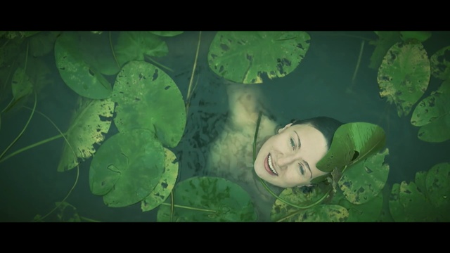 Video Reference: Green, Leaf, Nature, Organism, Illustration, Adaptation, Circle, Plant, Grass, Art, Person, Male