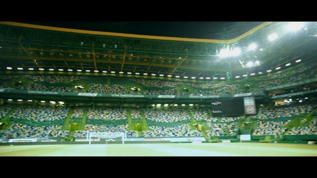 Video Reference: Sport venue, Stadium, Arena, Soccer-specific stadium, Grass, Artificial turf, International rules football, Goal