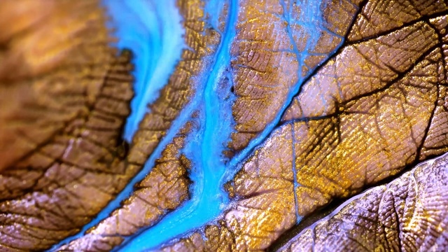 Video Reference: Leaf, Close-up, Eye, Organ, Organism, Photography, Macro photography, Pattern, Person