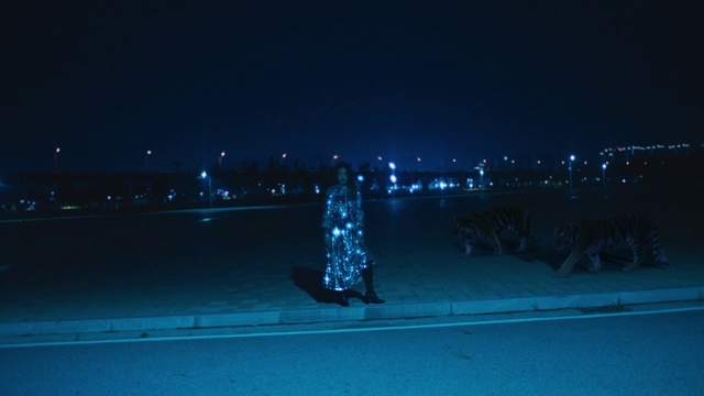 Video Reference: Blue, Night, Black, Sky, Water, Light, Lighting, Darkness, City, Horizon