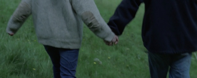 Video Reference: green, grass, man, emotion, male, interaction, holding hands, lawn, grass family, walking