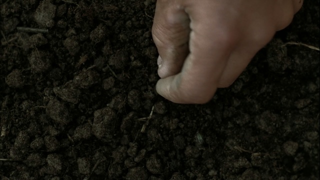 Video Reference: Black, Soil, Finger, Hand, Leg, Nail, Photography, Foot, Rock, Gesture, Person