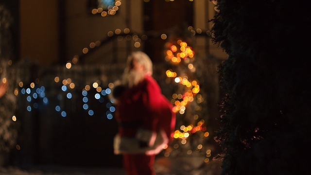 Video Reference: Light, Lighting, Sky, Night, Tree, Performance, Fun, Event, Tradition, Christmas