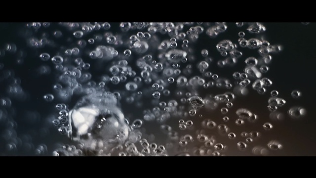 Video Reference: Water, Nature, Black, Moisture, Monochrome photography, Organism, Dew, Black-and-white, Darkness, Drop