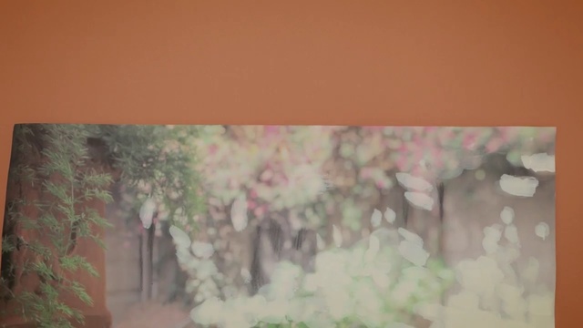 Video Reference: Pink, Green, Wall, Tree, Room, Watercolor paint, Painting, Textile, Plant, Paint, Person