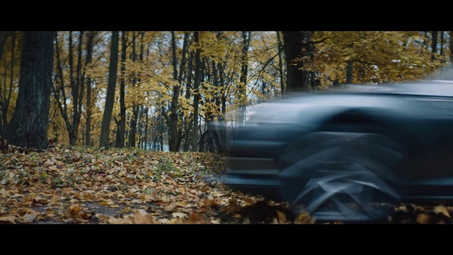 Video Reference: Nature, Automotive tire, Tire, Motor vehicle, Automotive design, Light, Natural environment, Vehicle, Automotive exterior, Woodland