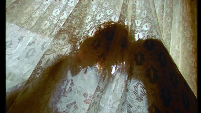 Video Reference: Textile, Dress, Lace, Transparent material, Pattern, Tints and shades