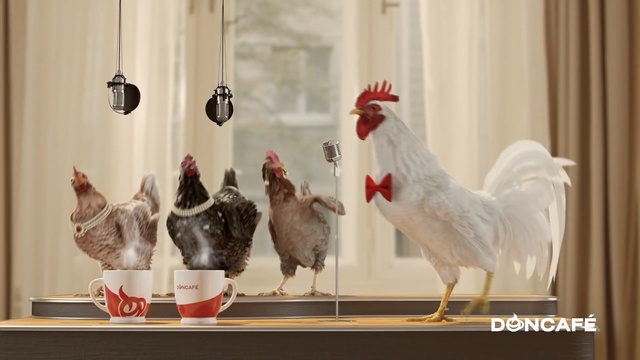 Video Reference: Chicken, Rooster, Bird, Galliformes, Comb, Fowl, Beak, Poultry, Livestock, Room