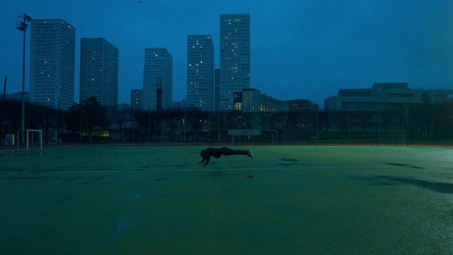 Video Reference: City, Human settlement, Urban area, Sky, Metropolitan area, Skyline, Water, Tower block, Cityscape, Skyscraper, Outdoor, Grass, Building, Green, Game, Large, Street, Field, Man, Body, Standing, Bird, Riding, Flying, White, Animal, Dog, Carnivore