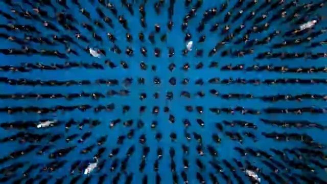 Video Reference: blue, water, sky, atmosphere, marine biology, organism, symmetry, underwater, line, computer wallpaper
