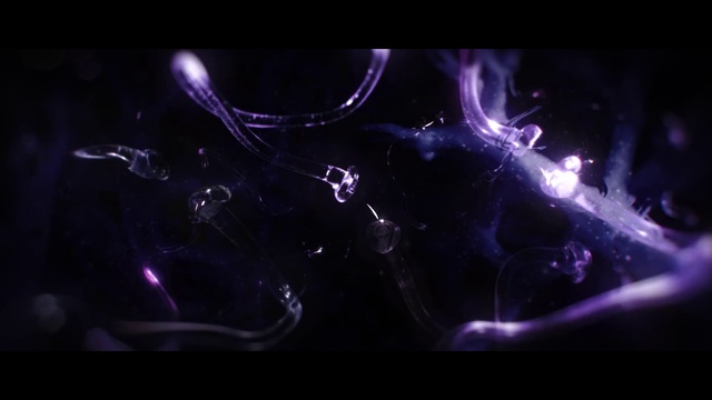 Video Reference: Violet, Purple, Black, Darkness, Light, Water, Fractal art, Electric blue, Organism, Macro photography