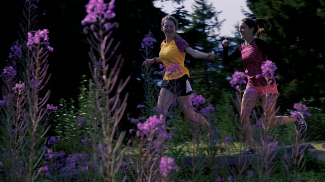 Video Reference: Flower, Lavender, Purple, Plant, Garden, Flowering plant, Violet, Botany, Spring, Outdoor, Person, Grass, Girl, Woman, Pink, Young, Playing, Standing, Man, Holding, Little, Field, Riding, Green, People, Ball, Wearing, Walking, Group, Hill, Game, Frisbee, Grassy, Bear, White, Tree
