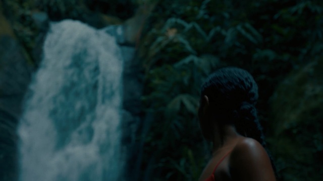 Video Reference: Blue, Water, Green, Natural environment, Human, Sky, Photography, Forest, Screenshot, Tree