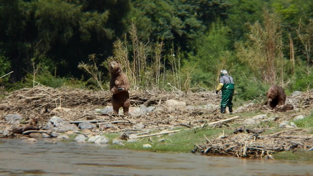 Video Reference: water, bank, water resources, geological phenomenon, river, jungle, tree, plant, watercourse, mud