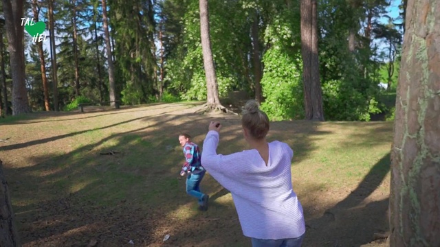 Video Reference: Woodland, Tree, Natural environment, Forest, State park, Leaf, Recreation, Fun, Leisure, Jungle