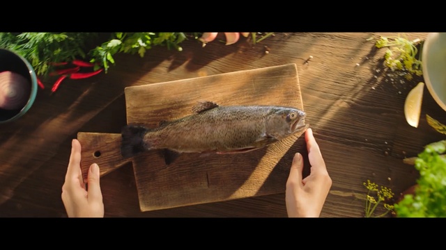 Video Reference: Fish, Wood, Fish