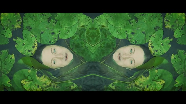 Video Reference: Green, Leaf, Organism, Fictional character, Illustration, Art, Grass, Plant, Animation, Symmetry, Person