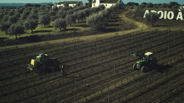 Video Reference: field, agriculture, farm, soil, rural area, grass, plantation, landscape, grass family, plain
