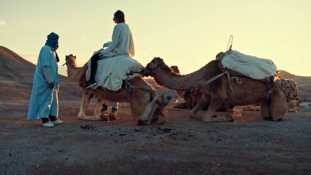 Video Reference: Camel, Camelid, Arabian camel, Herd, Mode of transport, Desert, Adaptation, Pack animal, Landscape, Ecoregion