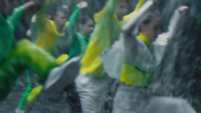 Video Reference: Bird, Plant, Crowd